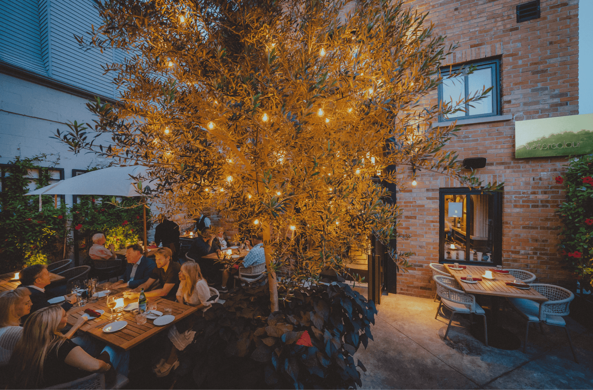 Mediterranean Cocktails: Refreshing Drinks Inspired by the Region