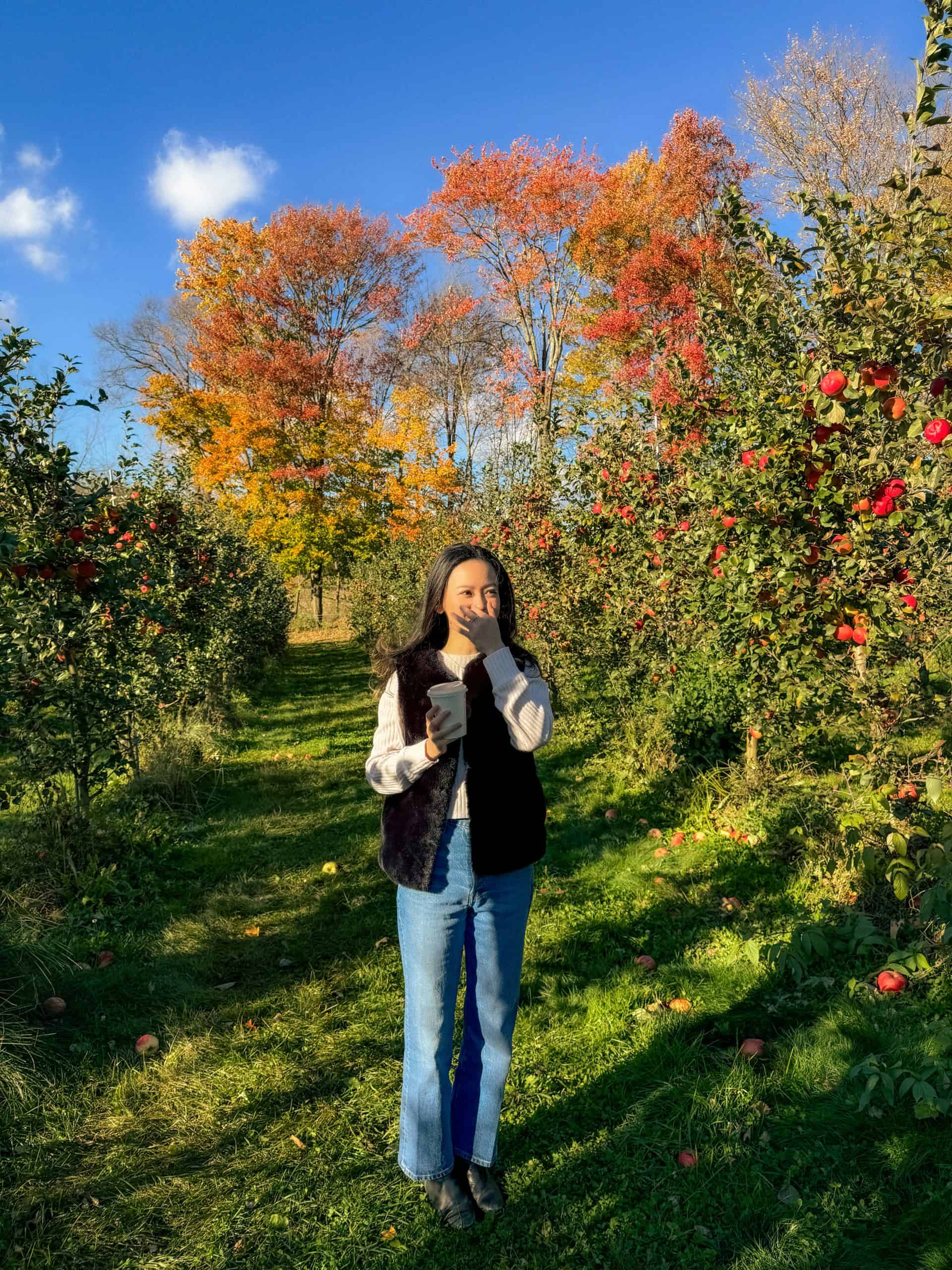 Apple Picking during Autumn in Vermont: Peck Farm Orchard