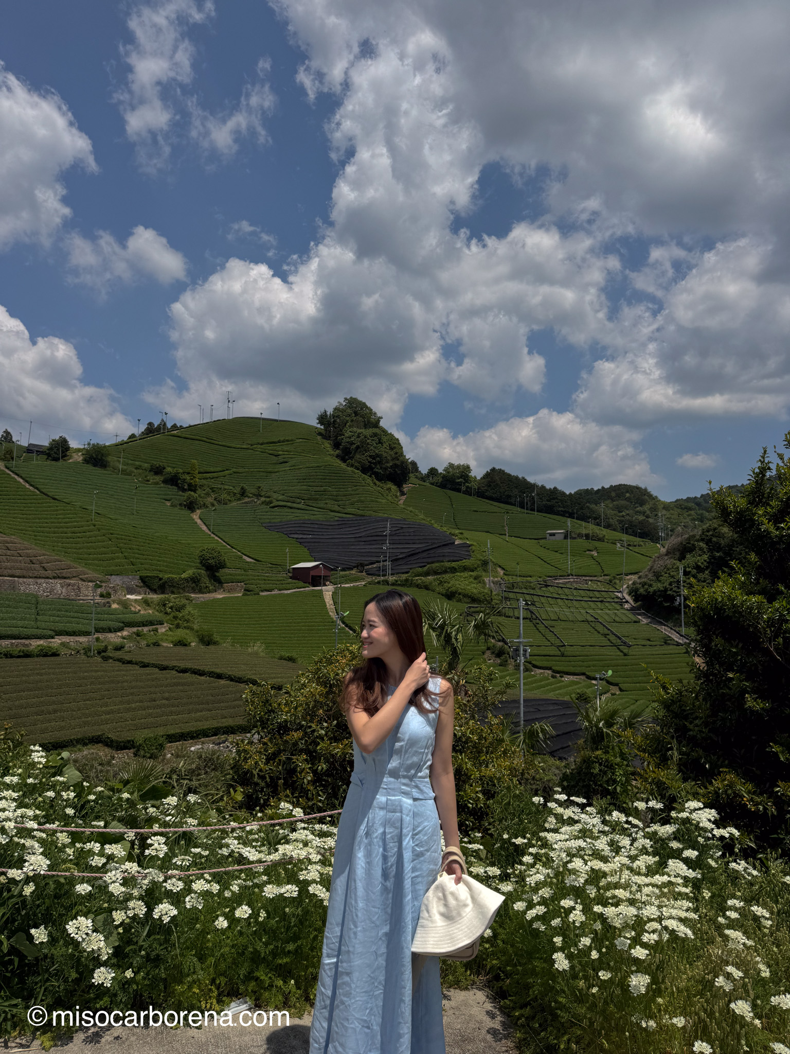 18 Things to Do in Uji, Japan (Staying Overnight? Read This)